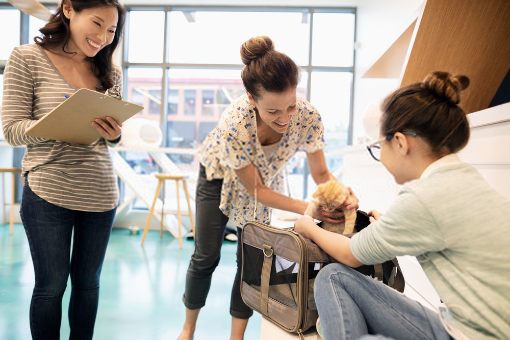 Centro de ayuda Formato de adopción para gato.