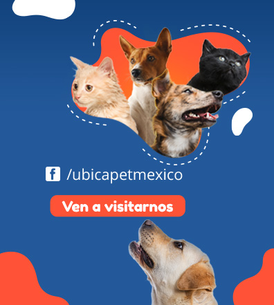 Centro de ayuda - Facebook Ubicapet