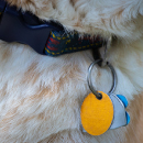 Artículo ¿Qué hacer si encontramos un perro en la calle?. 