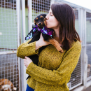 Artículo ¿Qué hacer si encontramos un perro en la calle?. Artículo ¿Qué hacer si encontramos un perro en la calle?.