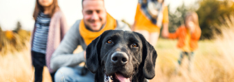 Artículo ¿Qué hacer si encontramos un perro en la calle?. Artículo ¿Qué hacer si encontramos un perro en la calle?.