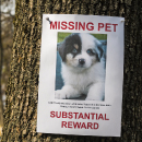 Artículo Lo que debes saber sobre la recompensa. 