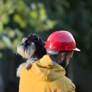 Artículo Lo que debes saber sobre la recompensa. 