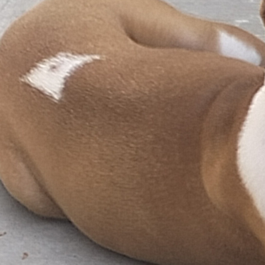 KIRA | Raza Bóxer  | Perdida