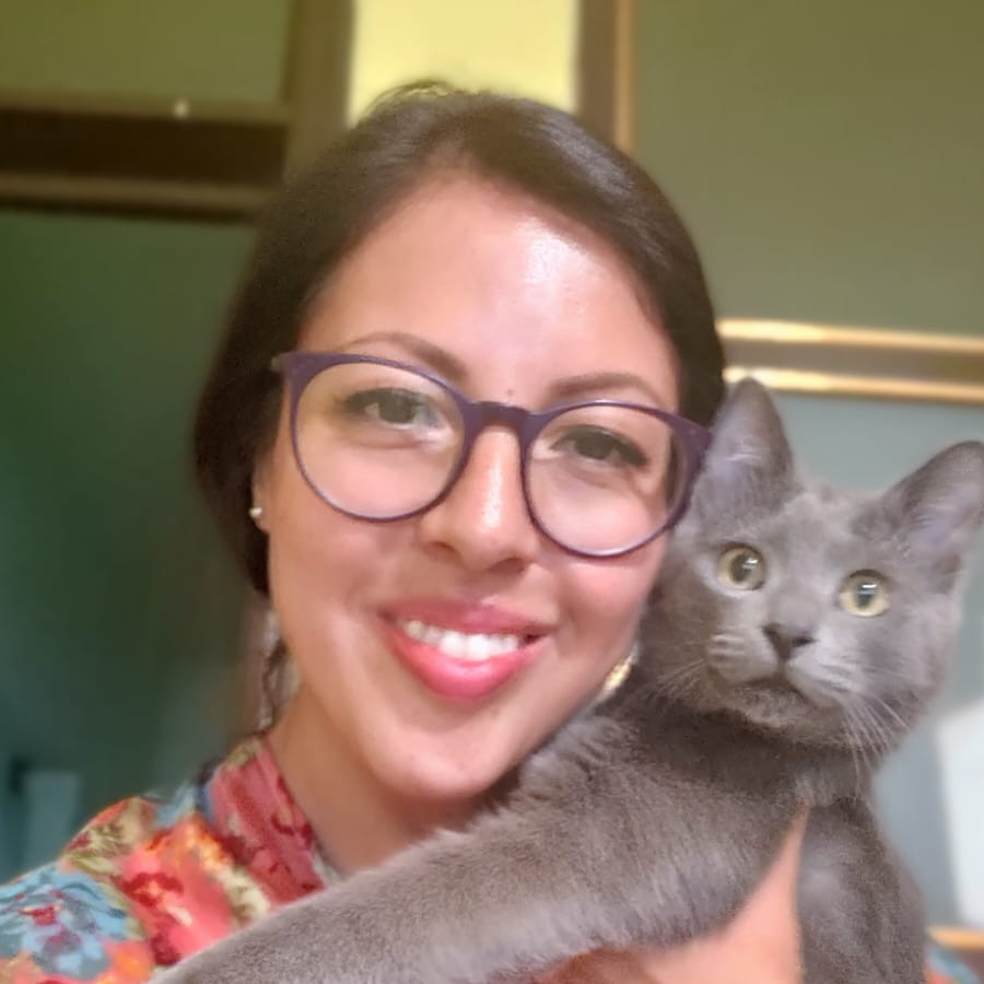 RUSHI | Raza Ruso Azul | Perdido