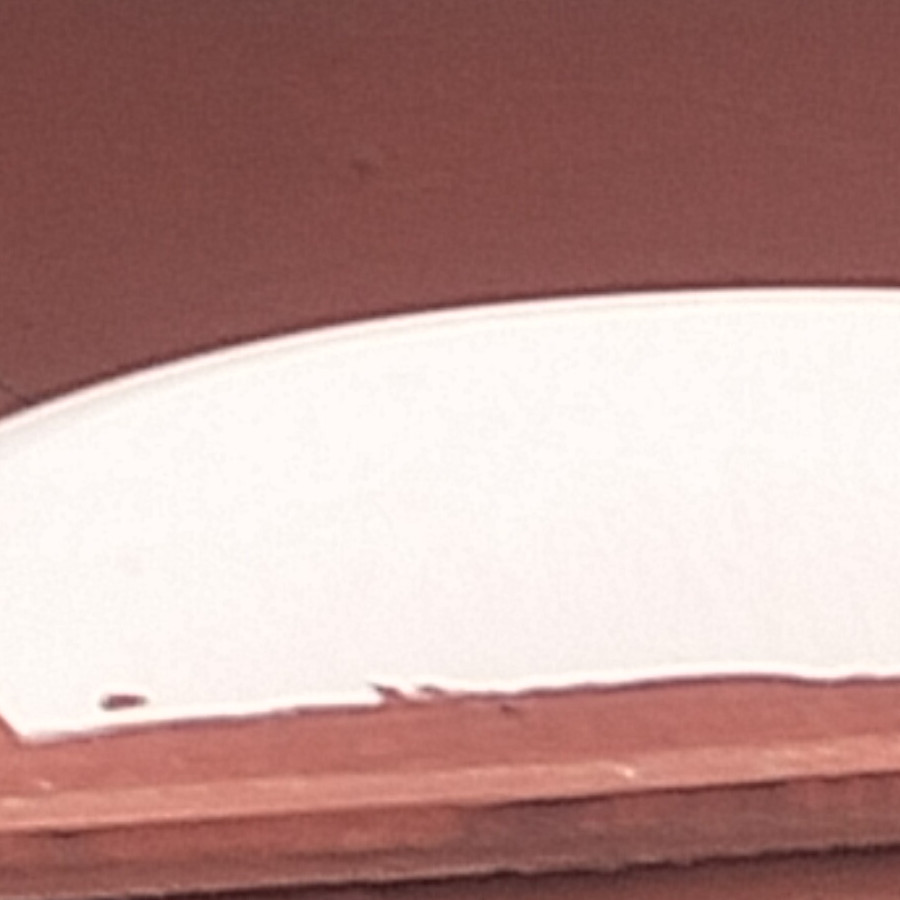 KIRA | Raza Bóxer  | Perdida