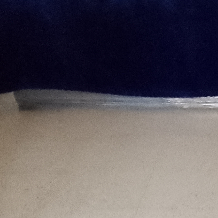 TOBY | Raza French Poodle o Caniche | Perdido