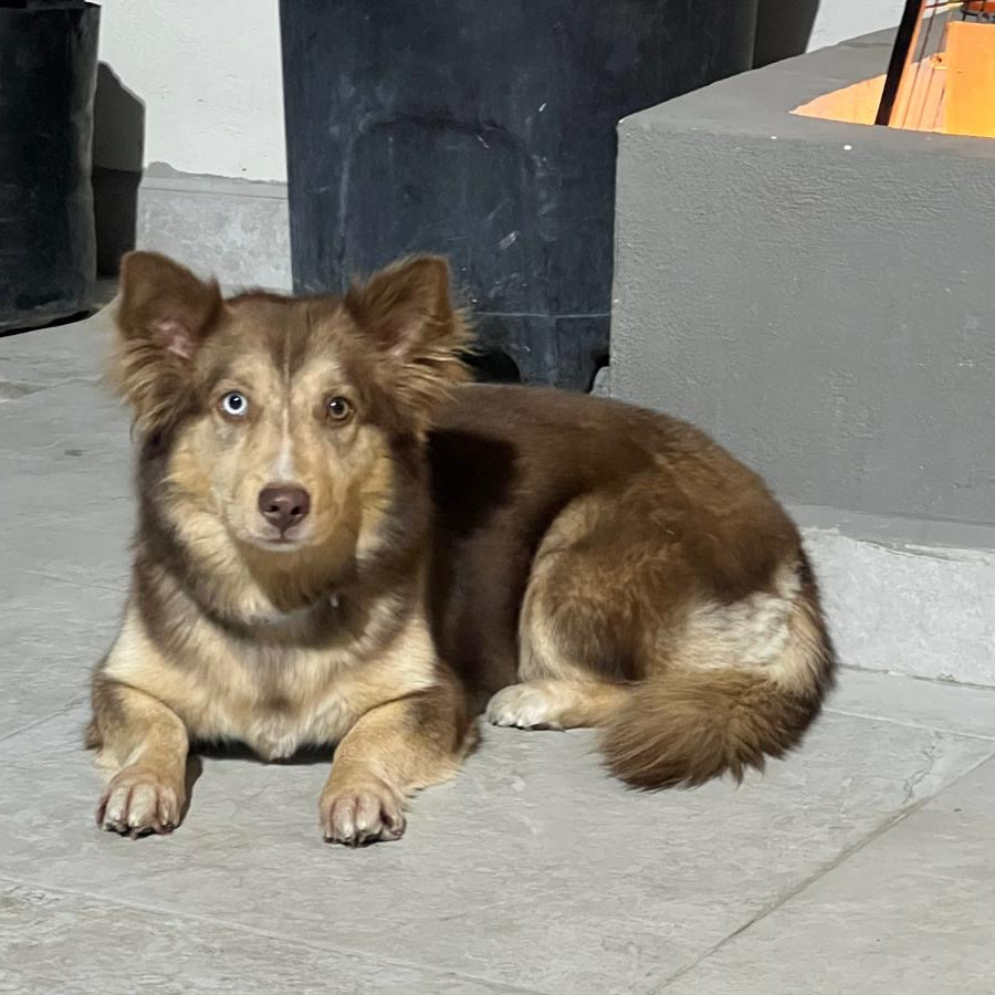 NALA | Raza Mestiza | Final Feliz