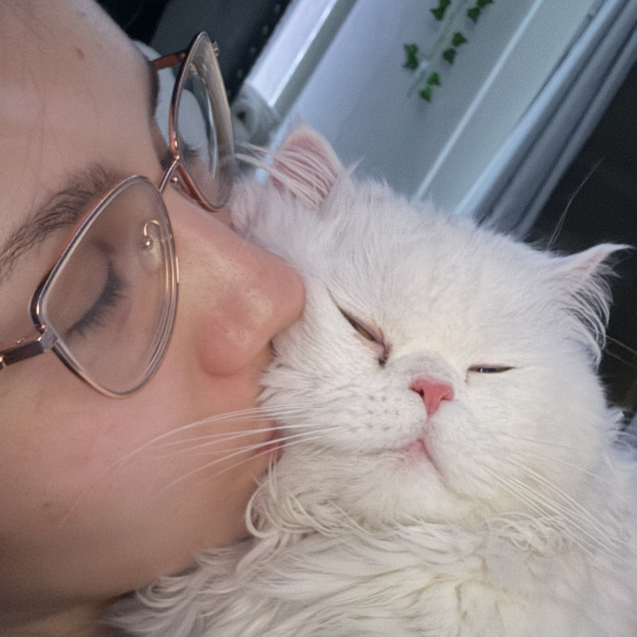 SIMI | Raza Persa | Perdido