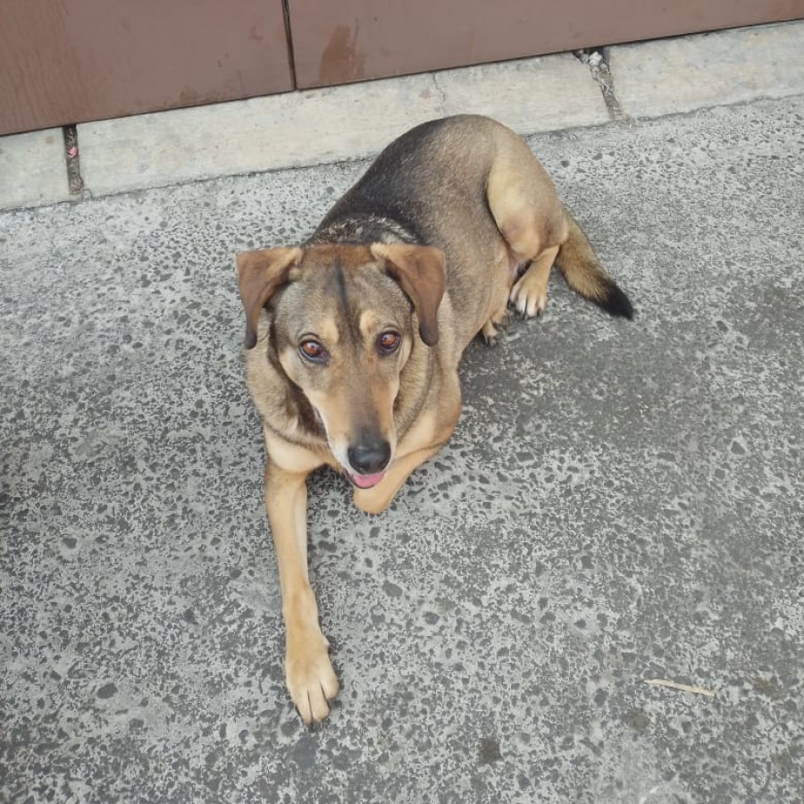  | Raza Mestiza | Encontrada