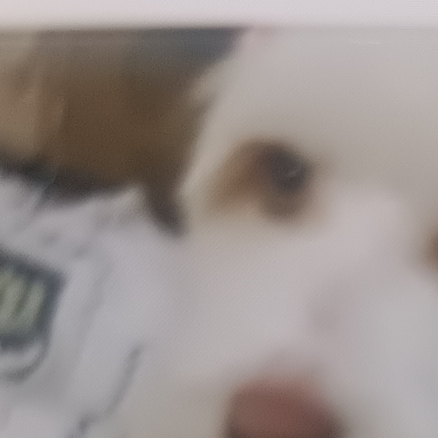 GÜERA | Raza Mestiza | Final Feliz