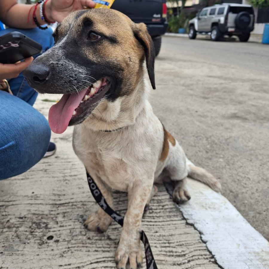  | Raza Mestiza | Encontrada