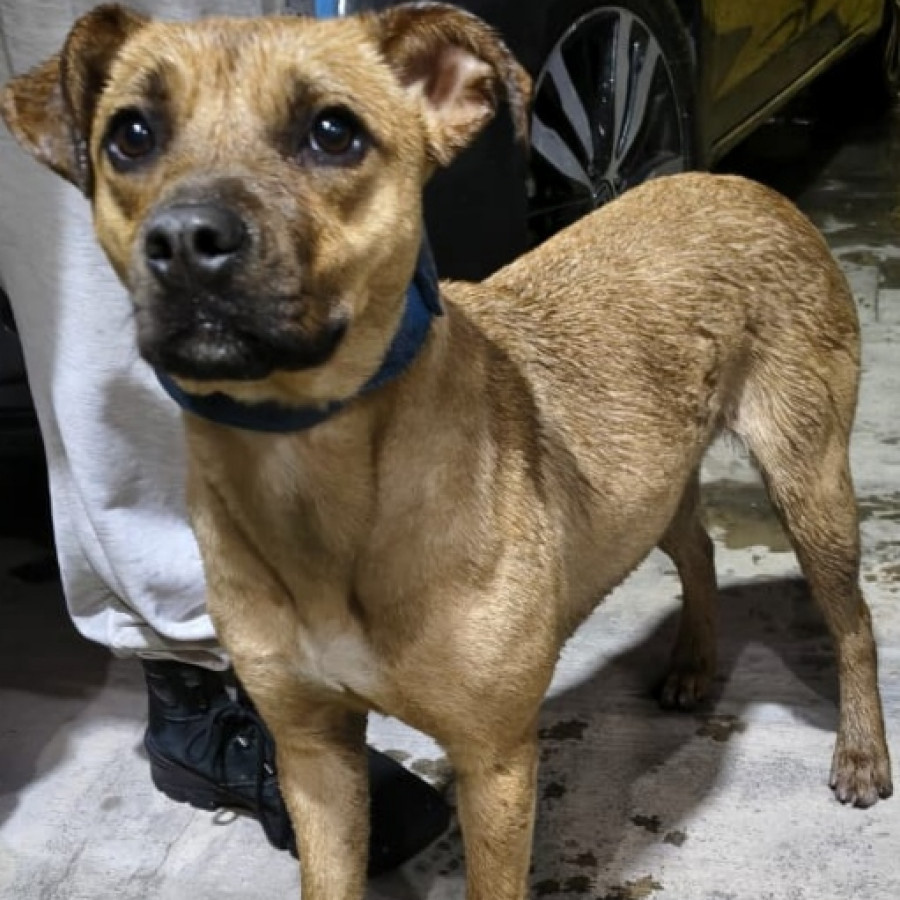  | Raza Mestiza | Encontrada
