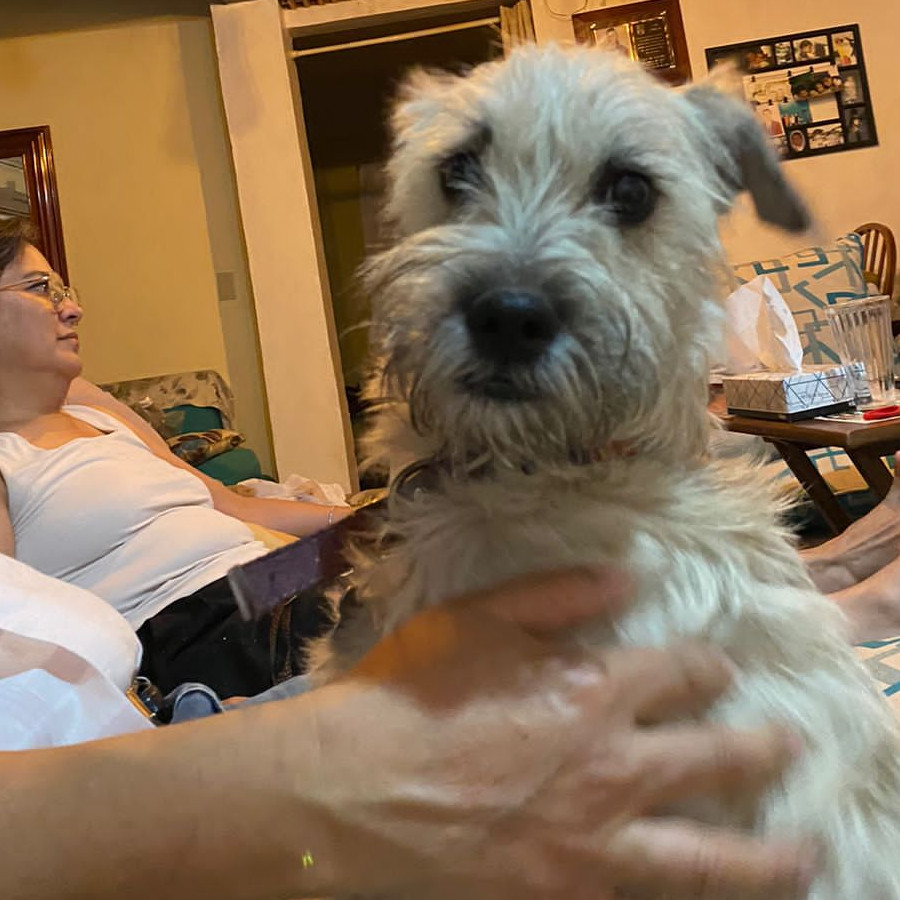 PEPO | Raza Mestizo | Final Feliz