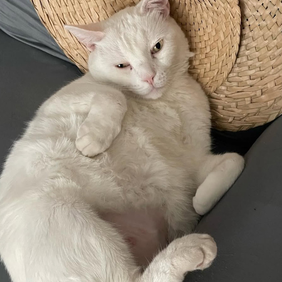 GÜERO | Raza Khao Manee | Perdido