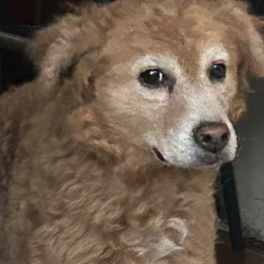  | Raza Mestiza | Final Feliz