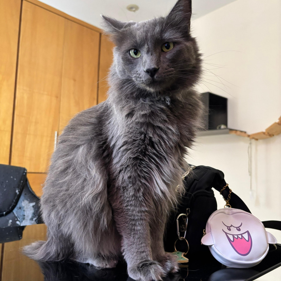 CHARMS | Raza Nibelungo o Nebelung | Perdido