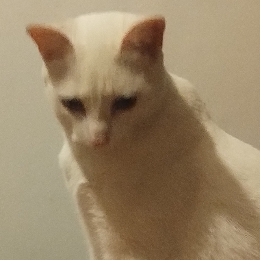 CIEGO | Raza Khao Manee | Perdido