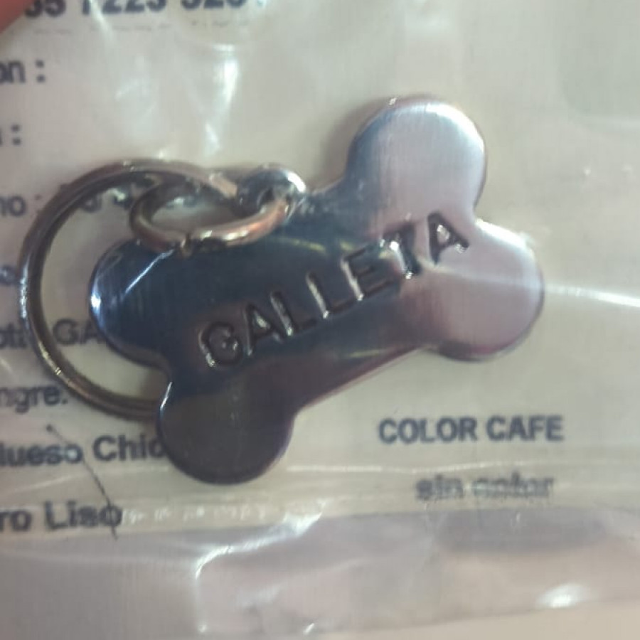 ZHARITA GALLETA | Raza Mestiza, cruza de Schnauzer | Perdida