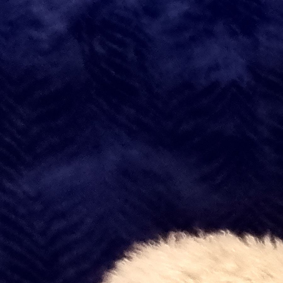 TOBY | Raza French Poodle o Caniche | Perdido