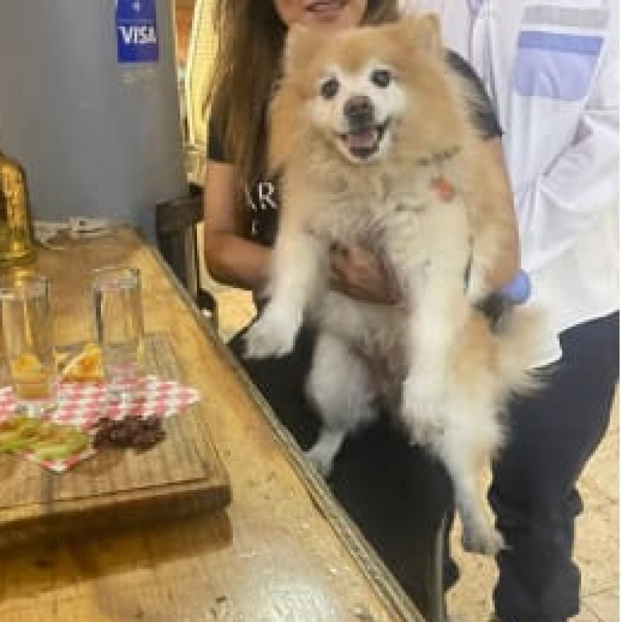 YONI | Raza Spitz Alemán | Final Feliz