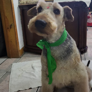 Foto de BONNI
