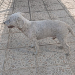 Foto de 
