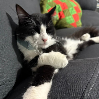 Foto de ZEUS