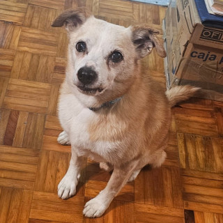 Foto de ATREYU