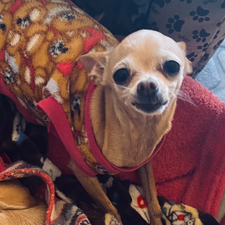 Foto de KIMORA