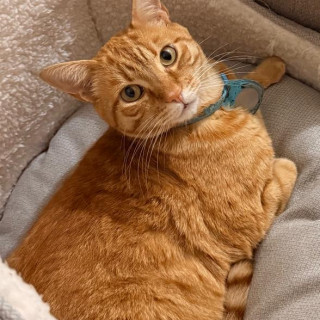Foto de COCO