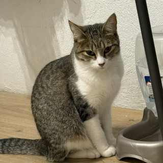 Foto de JINX O MAYITA