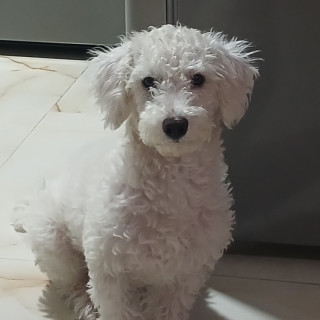 Foto de MAX