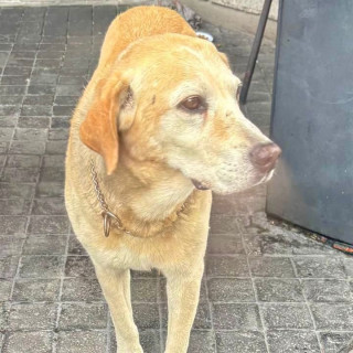 Foto de BLADIMIR