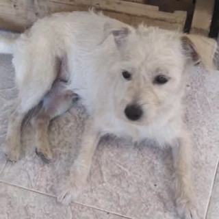 Foto de GEORGE (YORSH)