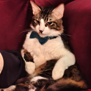 Foto de PEPO