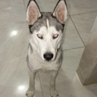 Foto de ZEUS GARDUÑO RDGZ.