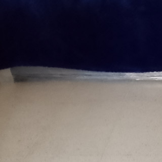 TOBY | Raza French Poodle o Caniche | Perdido