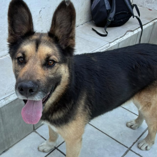 Foto de 