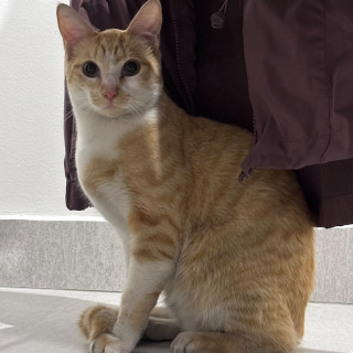 Foto de 