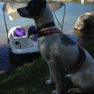 MIKA | Raza Mestiza | Final Feliz