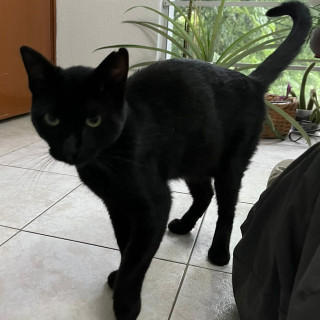 Foto de 