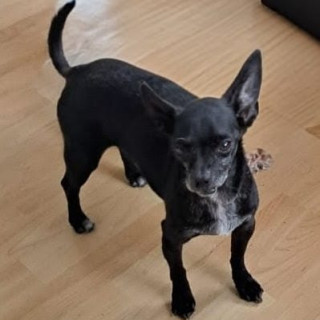 Foto de KIMBO