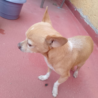 Foto de RAYITA