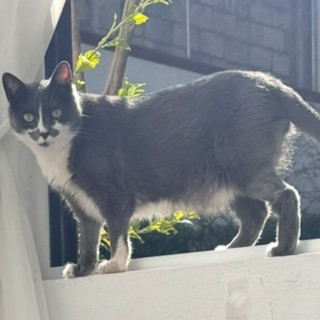Foto de LUNA