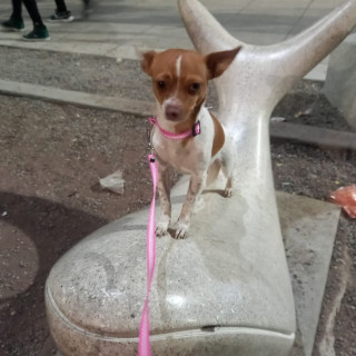 Foto de MOKA
