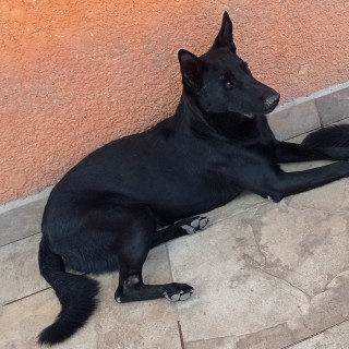 Foto de LUCKY