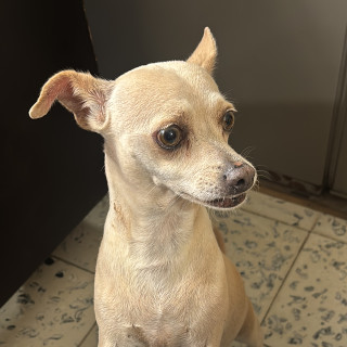 Foto de BELLA