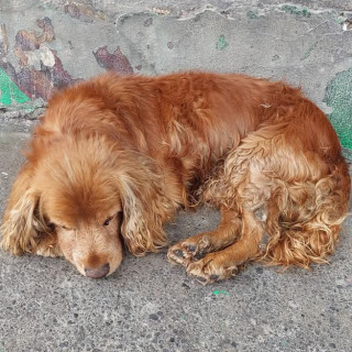Foto de 