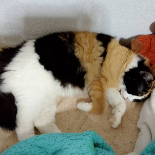 Foto de KIARA KATALINA